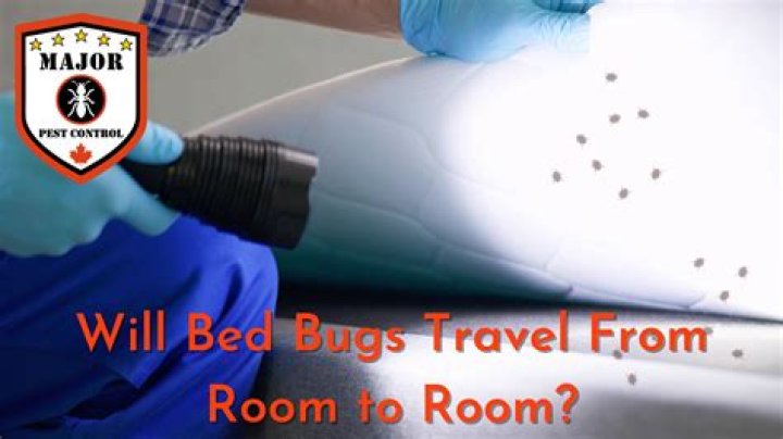 How fast do bed bugs travel from room to room?