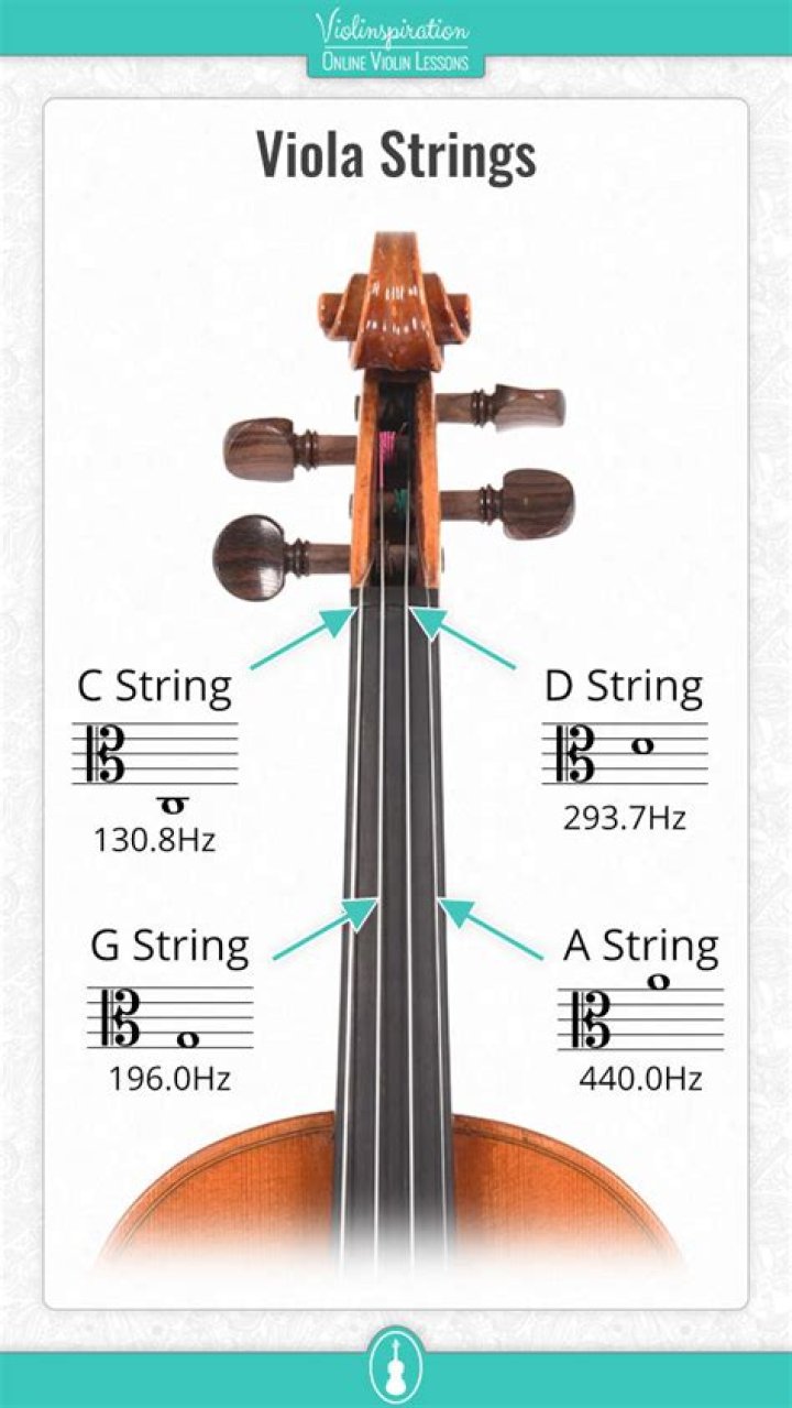How heavy is a viola?