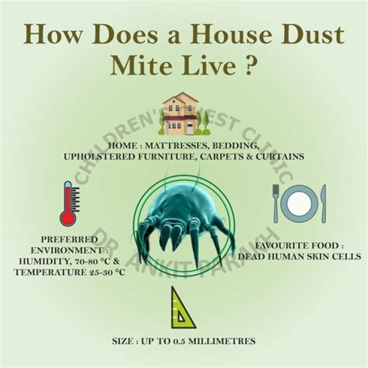 How long can dust mites live in an empty house?
