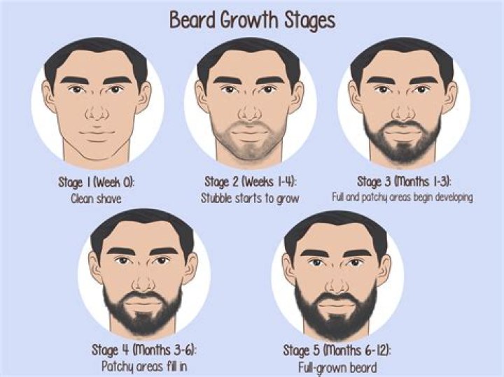 How long does it take a Roached mane to grow out?