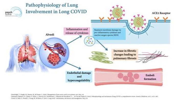 How long does lung damage from COVID last?
