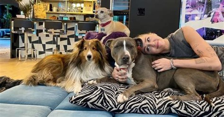 How many dogs does Miley Cyrus have?