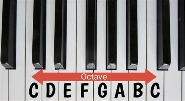 How many octaves can Lady Gaga sing?