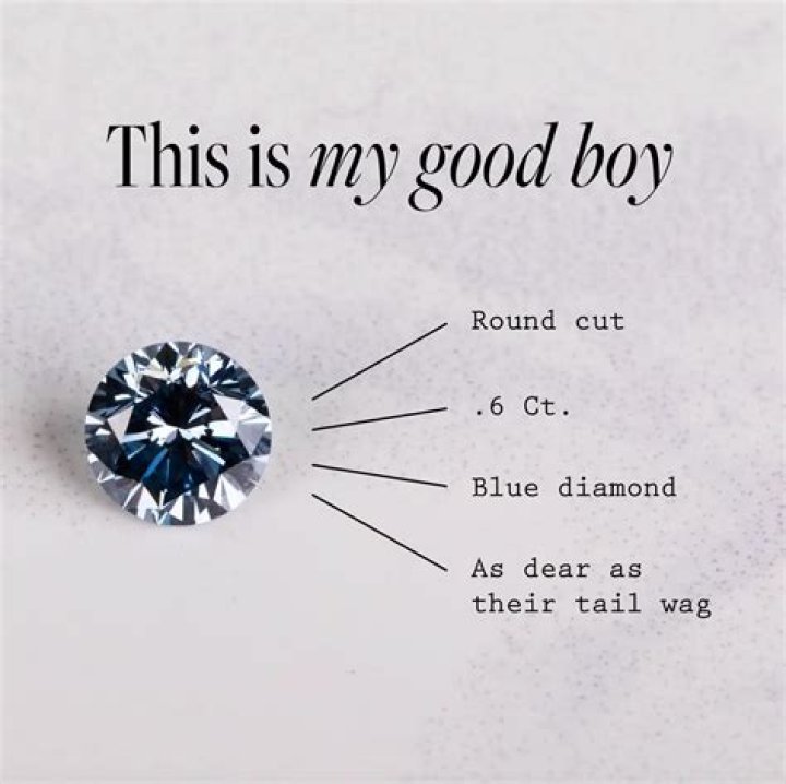 How much does it cost to turn dog ashes into a diamond?