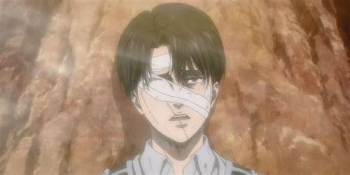 How much does Levi Ackerman weight?