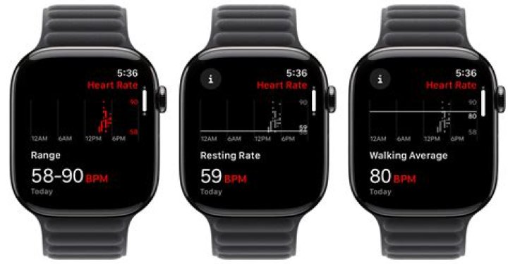 How often does Apple Watch check your heart rate?