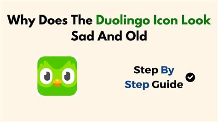 How old is the Duolingo owl?