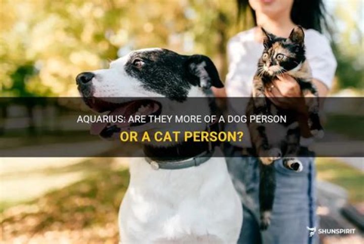 Is Aquarius a dog or cat person?