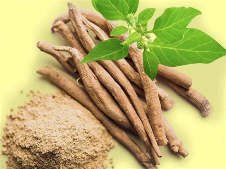 Is ashwagandha a GABA?