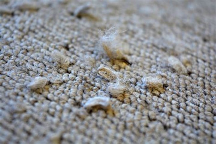 Is carpet ruined if it gets wet?