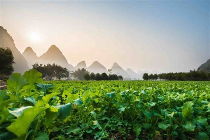 Is Earth losing its greenery?