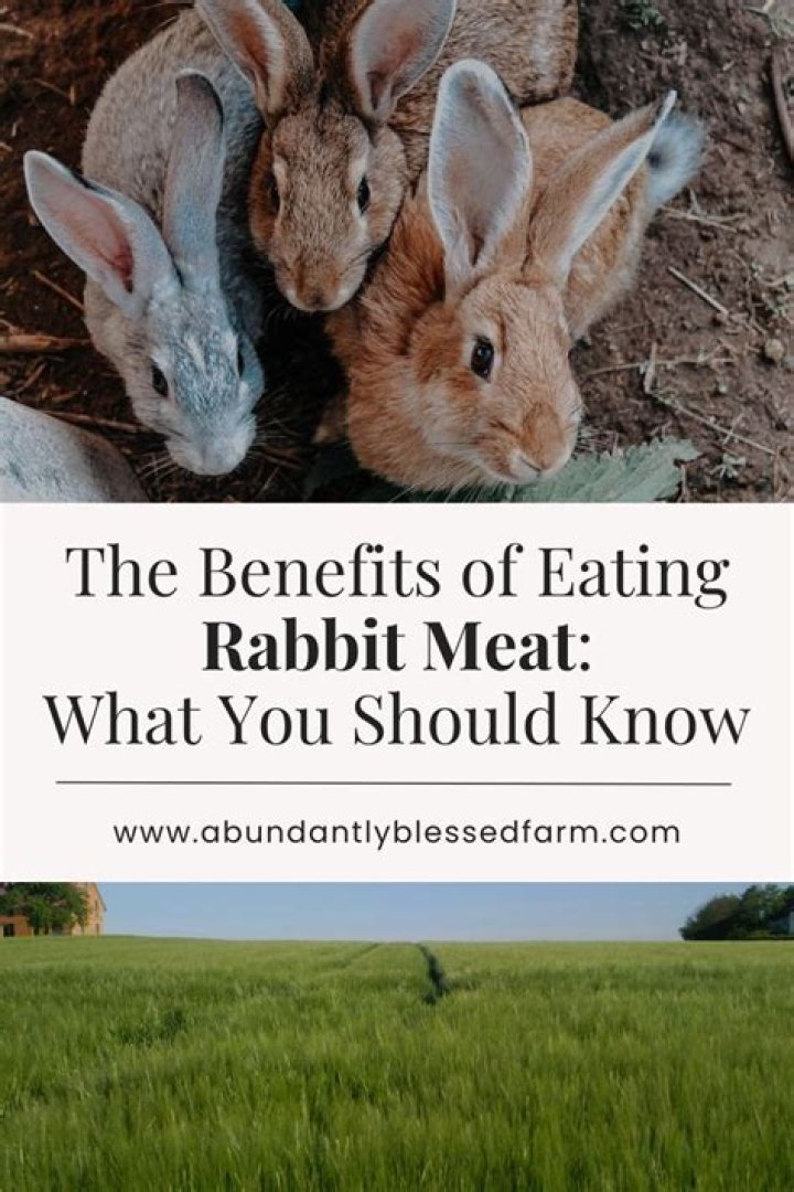 Is eating rabbit meat healthy?