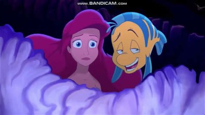Is flounder in love with Ariel?
