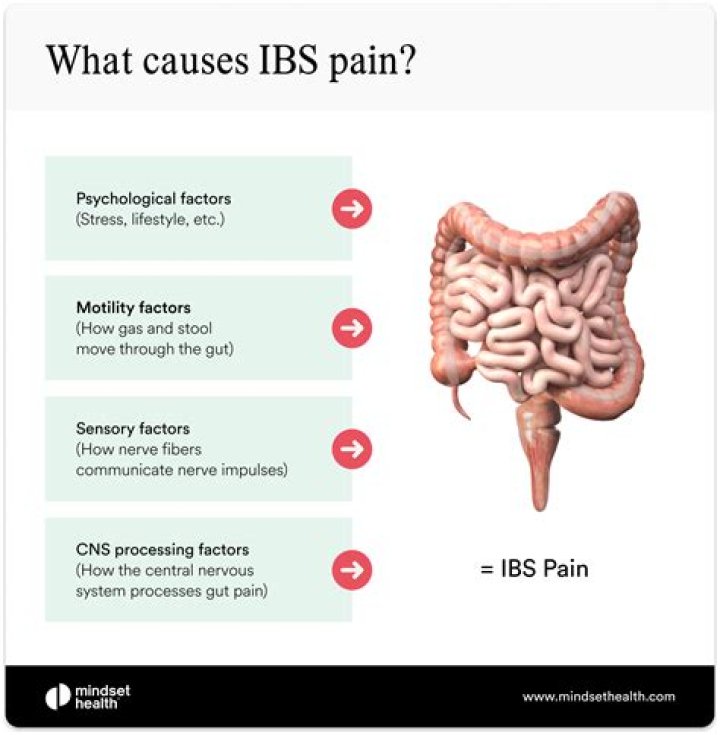 Is IBS caused by anxiety?