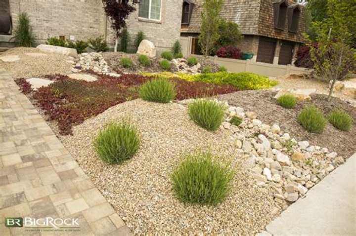 Is it better to use rocks or mulch?