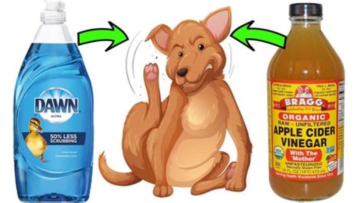 Is it OK to mix dawn and vinegar?