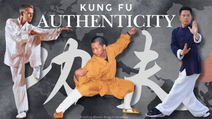 Is kung fu originated from India?