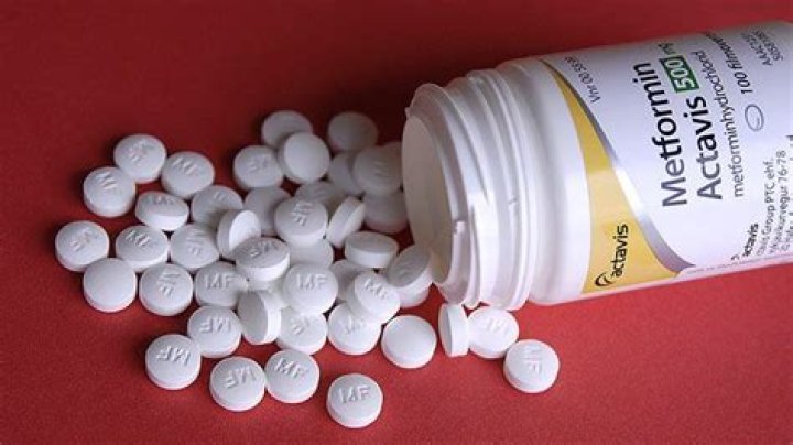 Is metformin an anti aging drug?