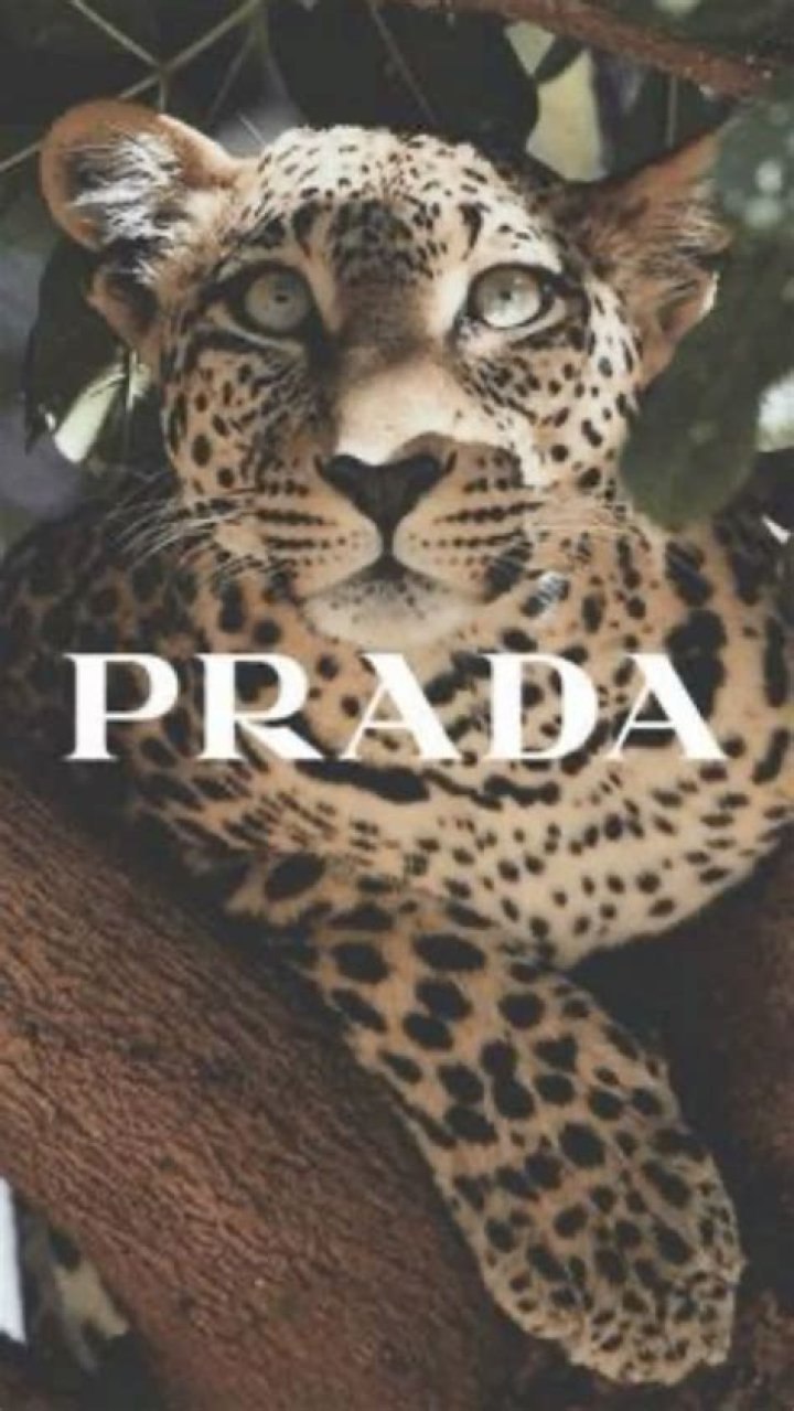 Is Prada animal friendly?