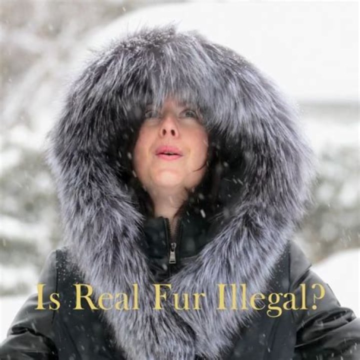 Is real fur illegal?