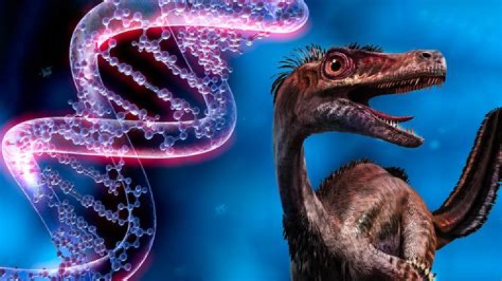 Is there dinosaur DNA?