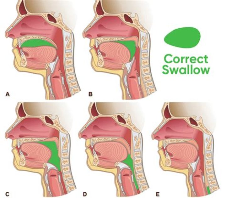Should I chew garlic or swallow?