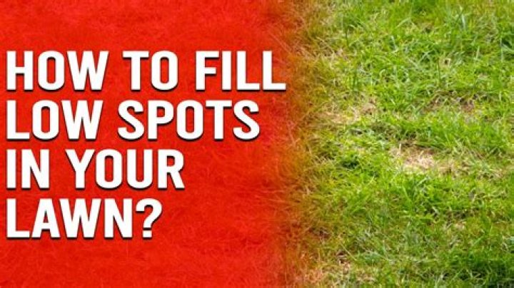 Should you fill in low spots in lawn?