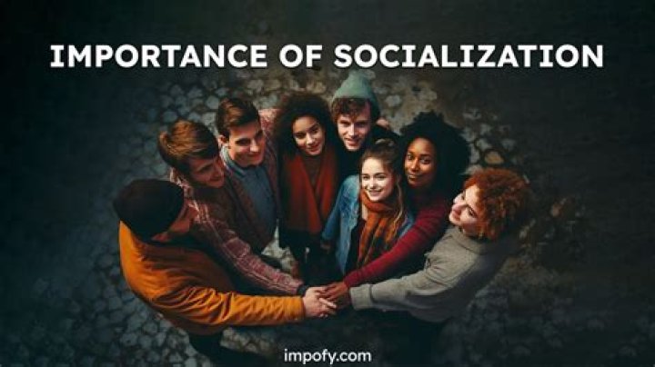 Should you force teenagers to socialize?