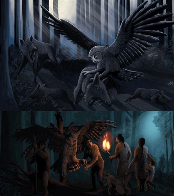 Were there prehistoric owls?