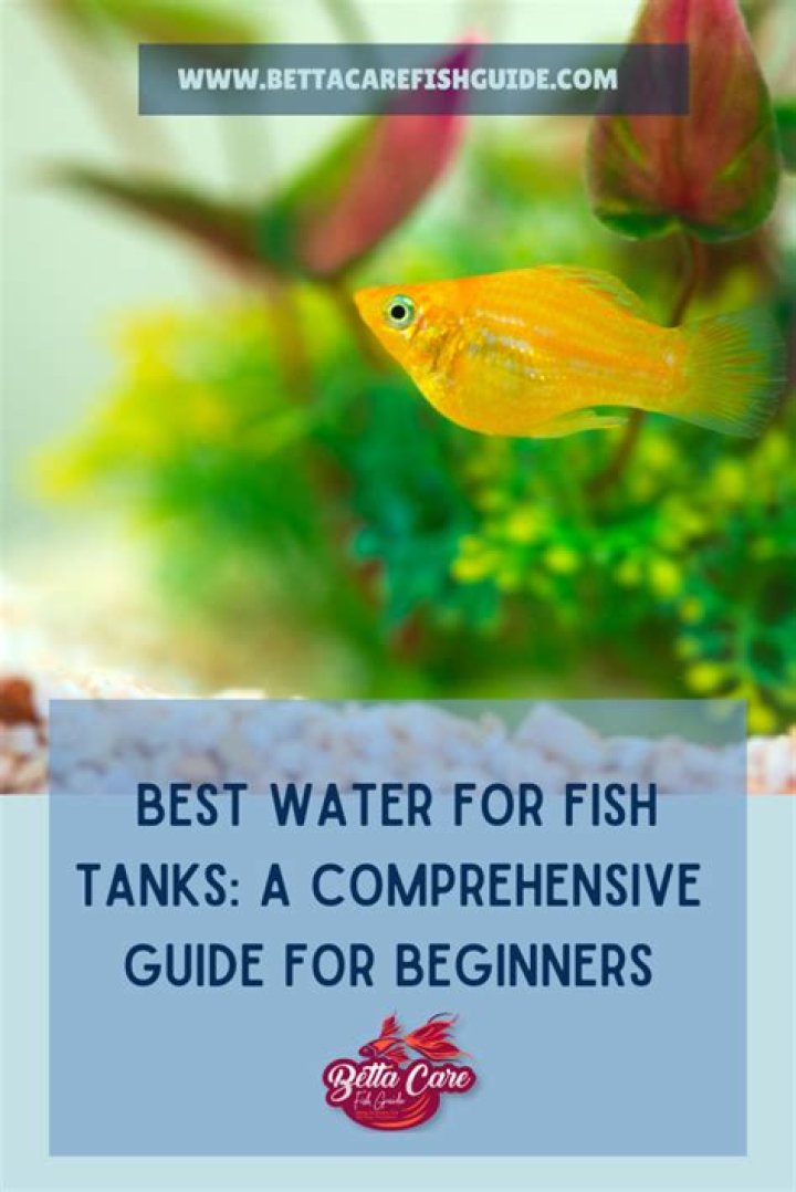 What's the best water for a fish tank?