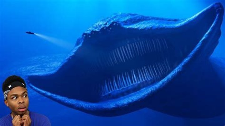 What's the scariest ocean?