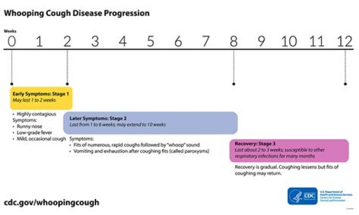 What age is Bordetella given?