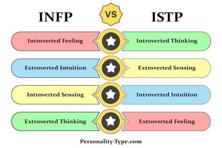 What an ENFP needs?
