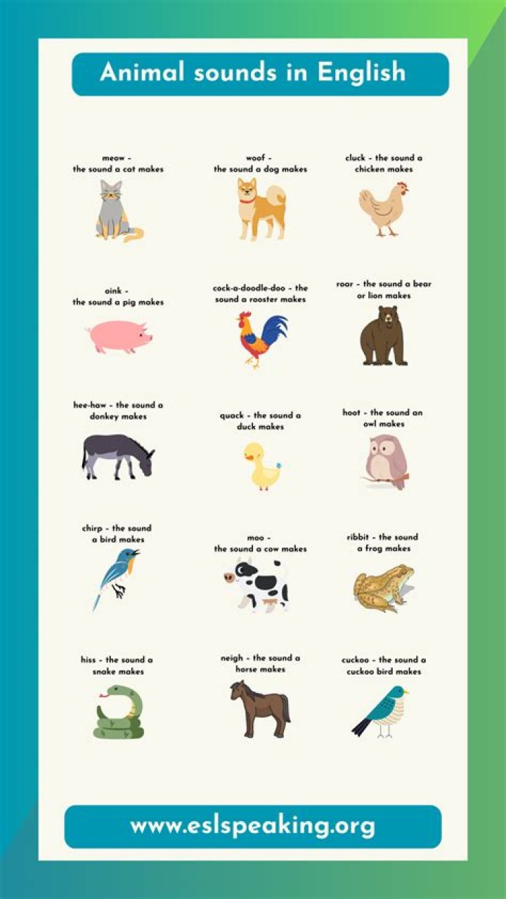 What animal sounds like its crying?