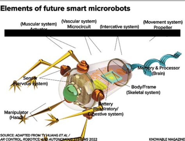 What are microrobots made of?