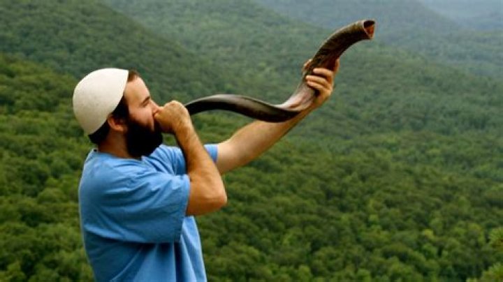 What are shofars made from?
