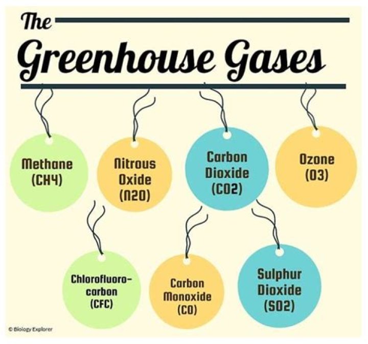 What are the 5 main greenhouse gases?