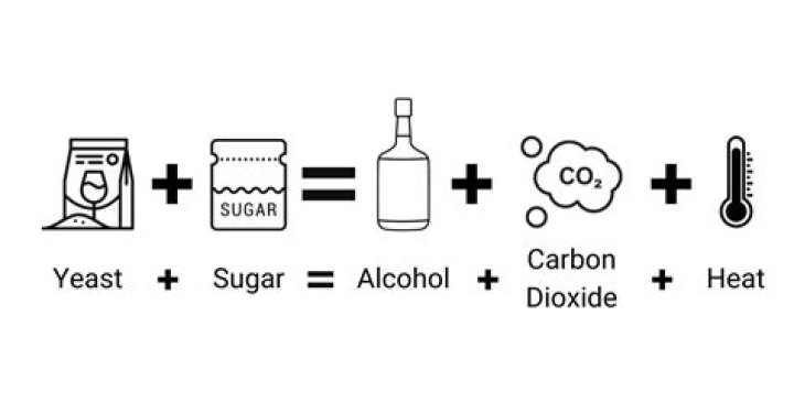 What can I use instead of yeast to make alcohol?