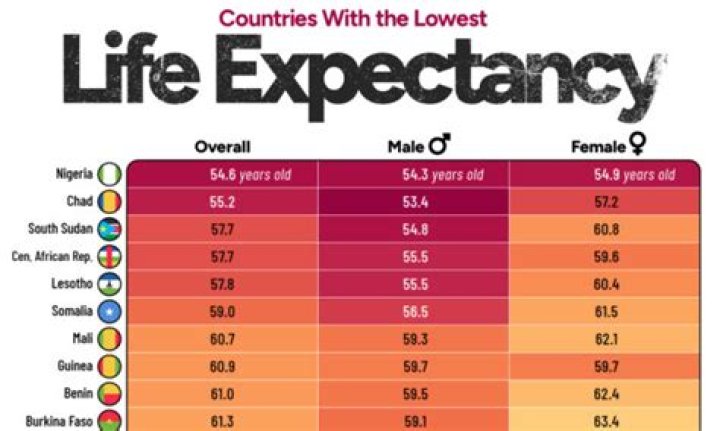 What car has the longest life expectancy?