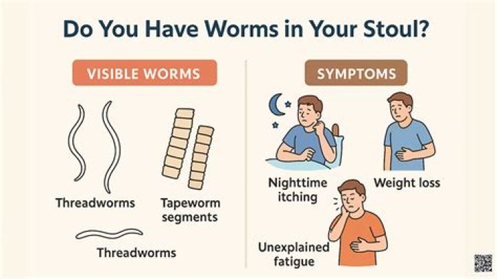 What causes worms to be in carpet?