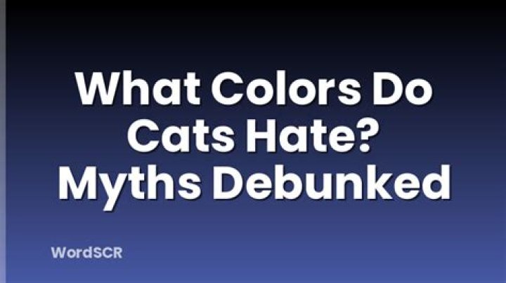 What colors do cats hate?