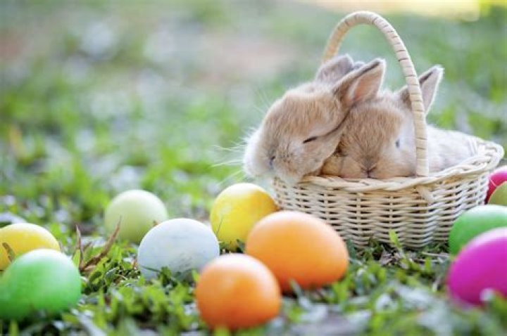What date does the Easter Bunny come?