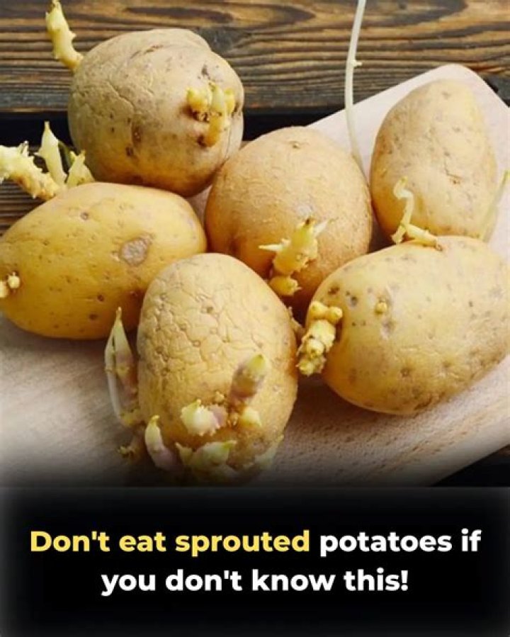 What did the English eat before potatoes?