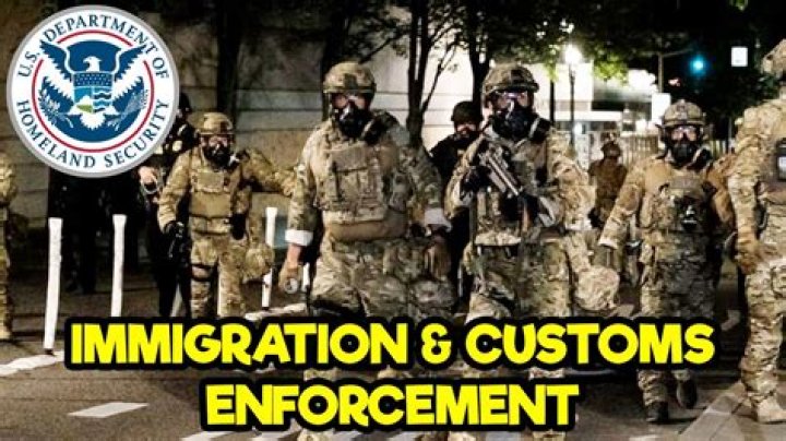 What do U.S. immigration officers see on their screen?