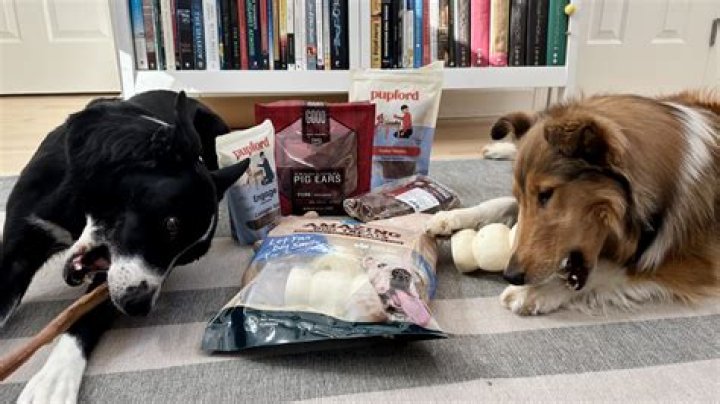 What do vets recommend for dogs to chew?