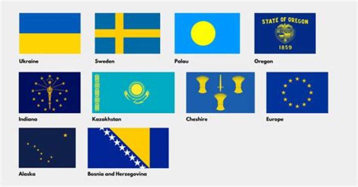 What does a yellow and blue flag mean?