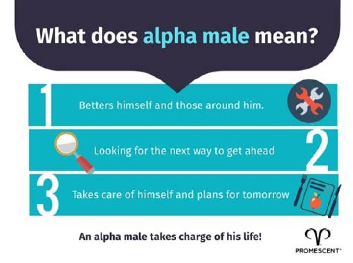 What does an alpha male like in a woman?