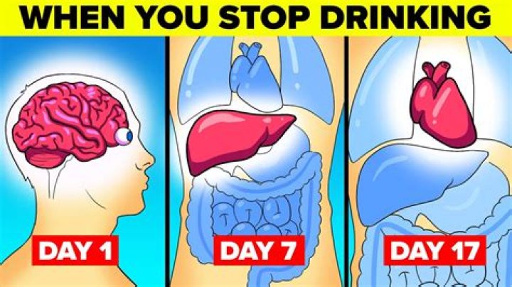 What does drinking everyday do to your brain?