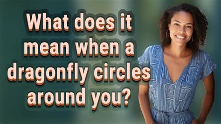 What does it mean when a dragonfly circles around you?
