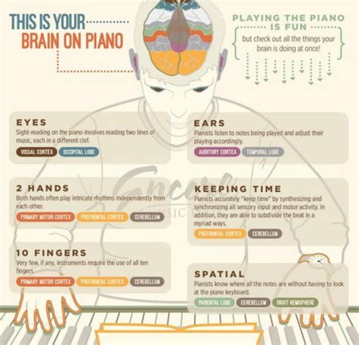 What does playing the violin do to the brain?
